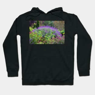 Purple Salvia In The Garden Hoodie